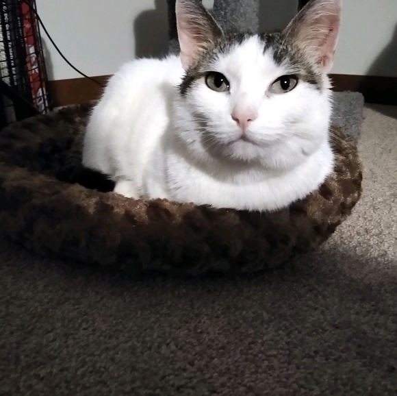 Meet your Posher, Sydnee - Picture 8 of 8